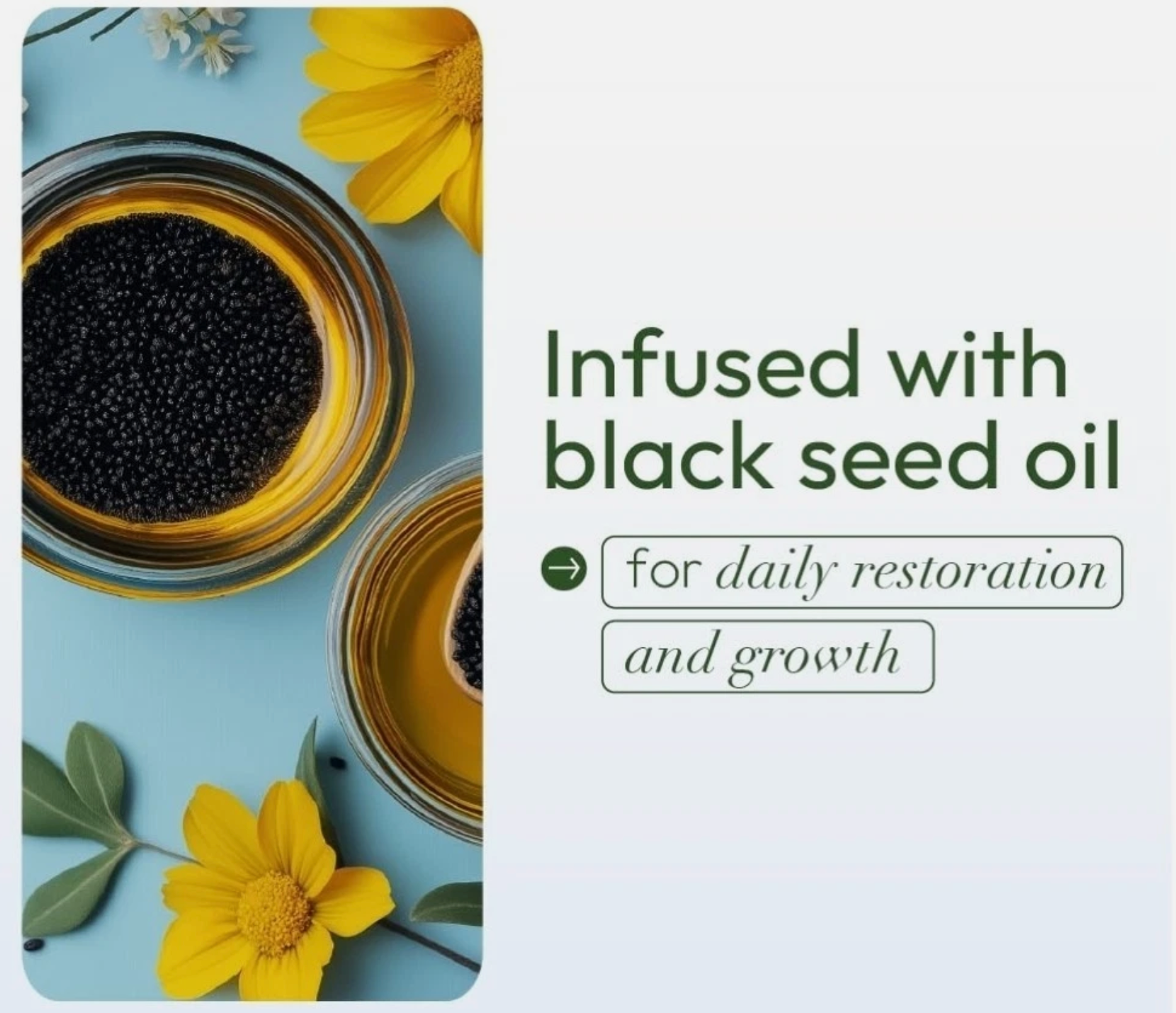 ORS Olive Oil