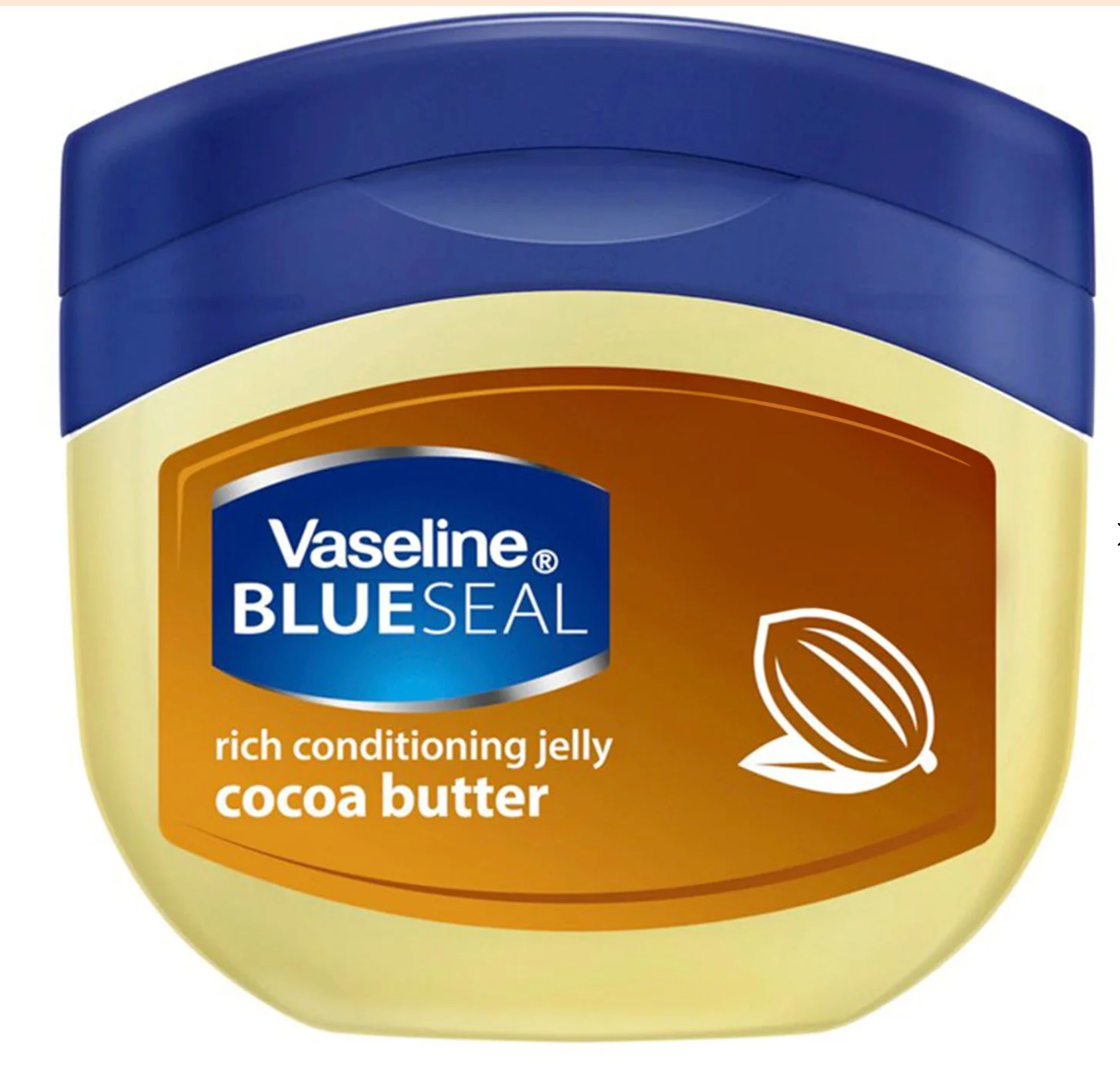 VASELINE BlueSeal Rich Conditioning Petroleum Jelly-Cocoa Butter 250ml