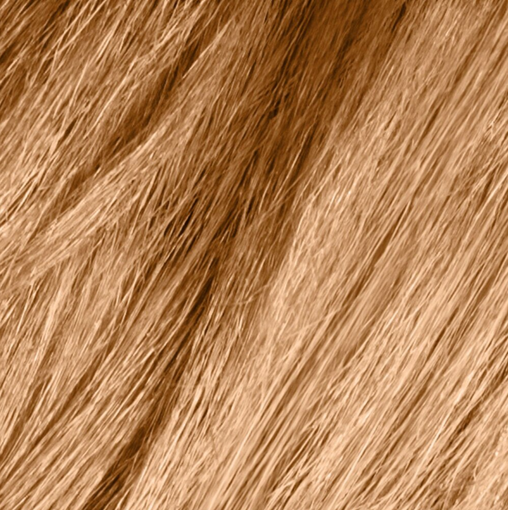 Dark & Lovely Fade Resist Permanent Hair Color, 378 Honey Blonde