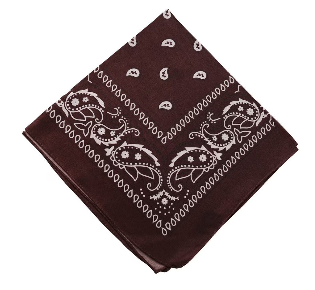 100% Cotton Paisley Unisex Bandanas