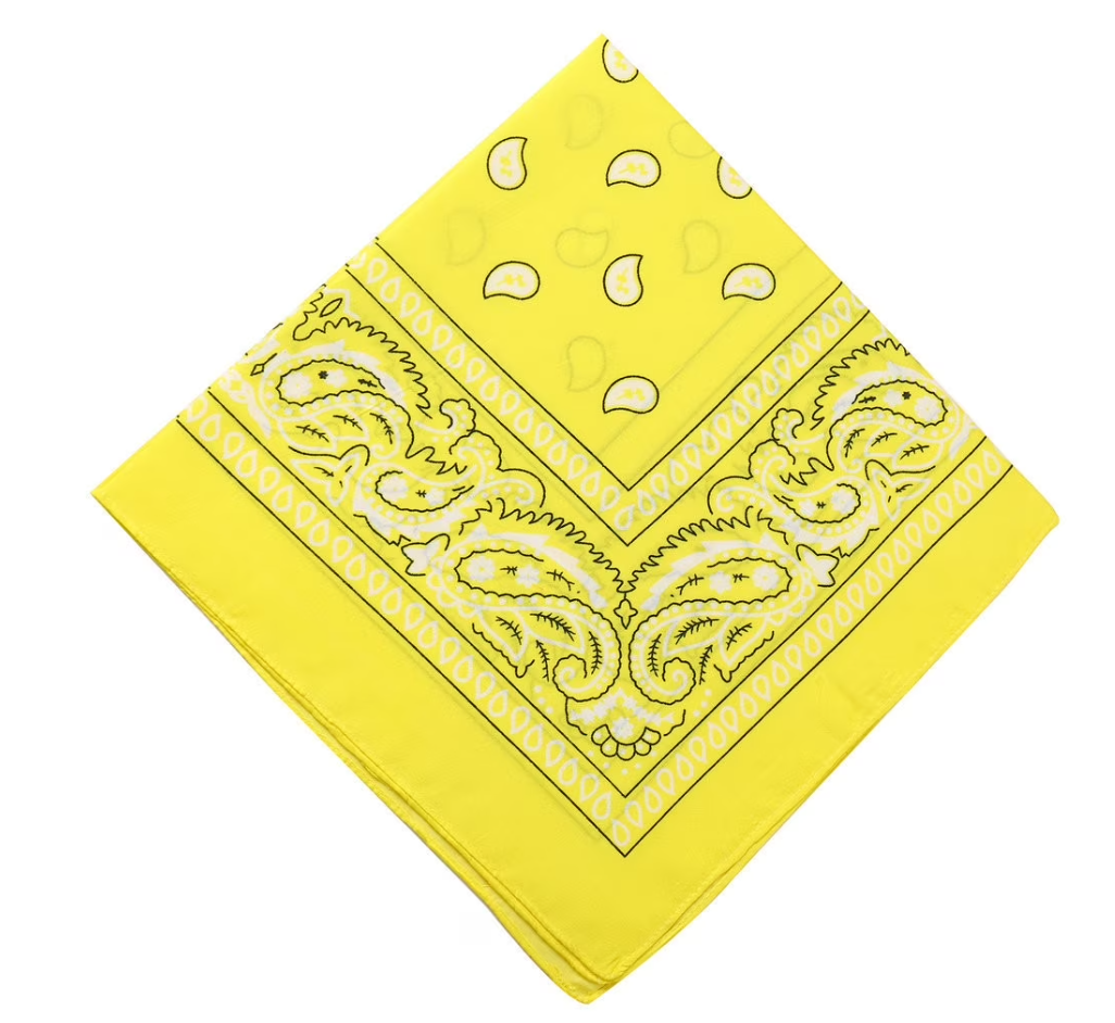 100% Cotton Paisley Unisex Bandanas